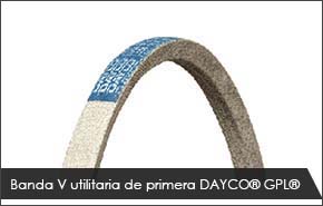 Banda V utilitaria de primera DAYCO